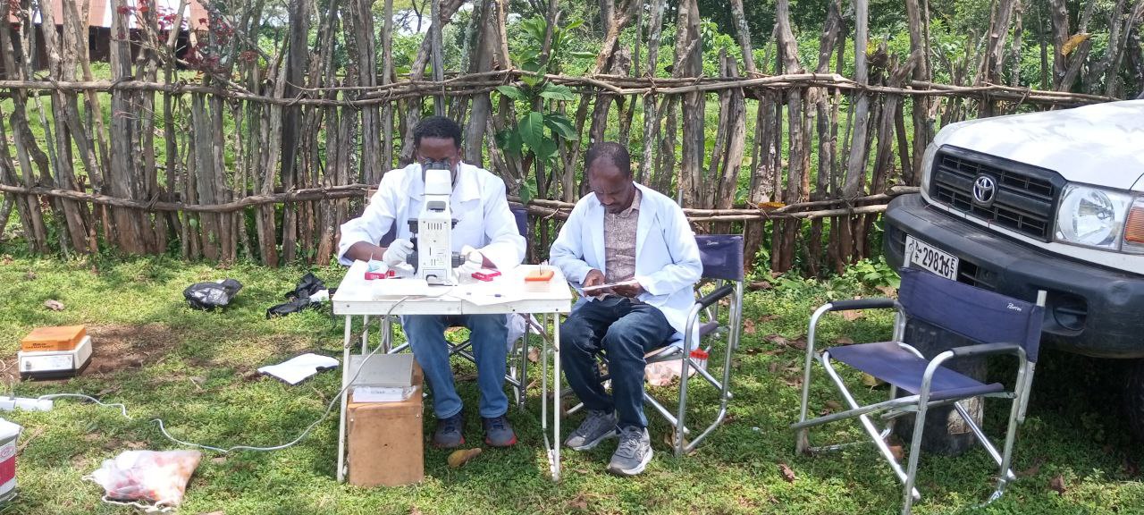 Parasitological diagnosis
